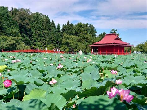 平川 市 爆 サイ|平川市観光協会.